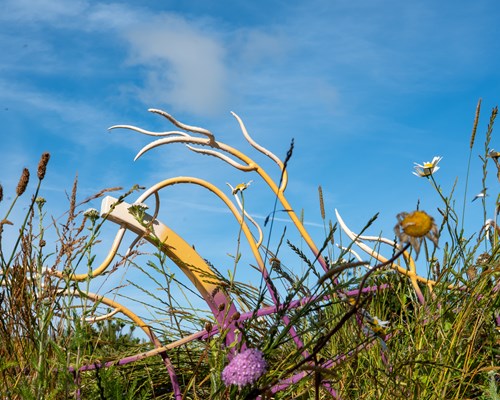 Twr y Felin Hotel and Penrhiw Priory Welcome Visitors for St Davids Open Gardens