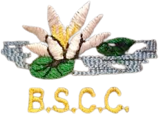 Bosherston and Stackpole logo